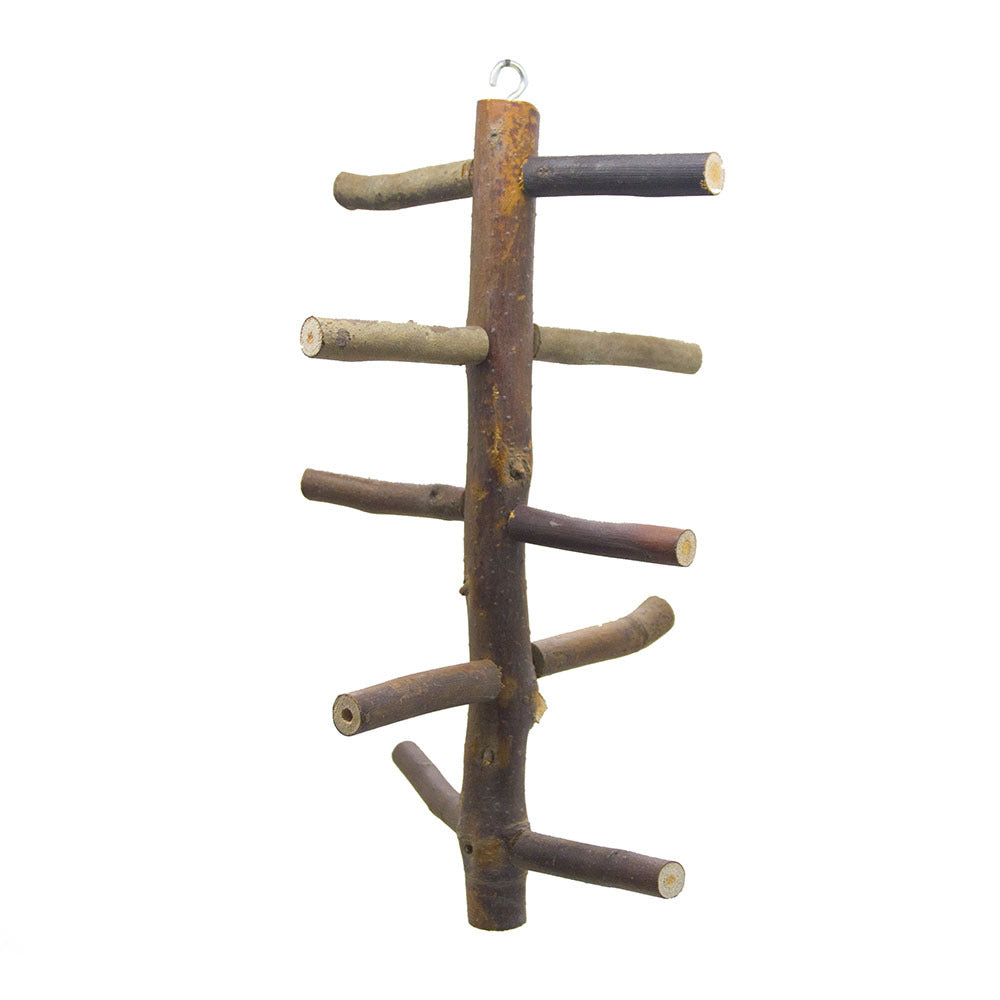 Échelle à Barreaux en Bois pour Oiseau