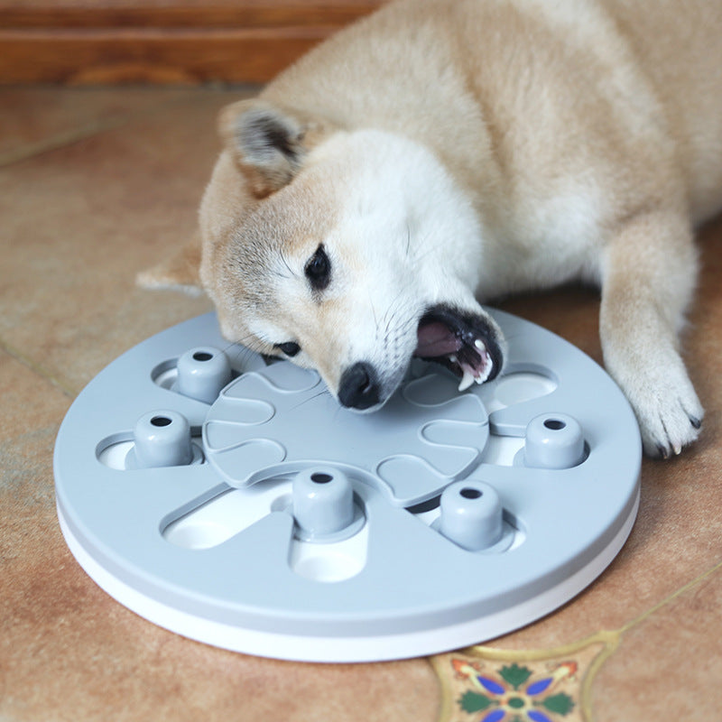Round Sliding Food Puzzle for Dogs