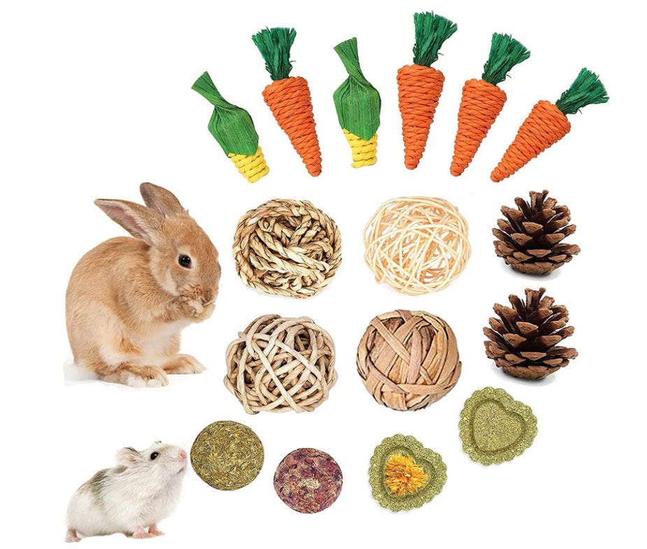 16-Piece Toy Set for Hamsters, Rabbits, Guinea Pigs, Chipmunks, and Chinchillas