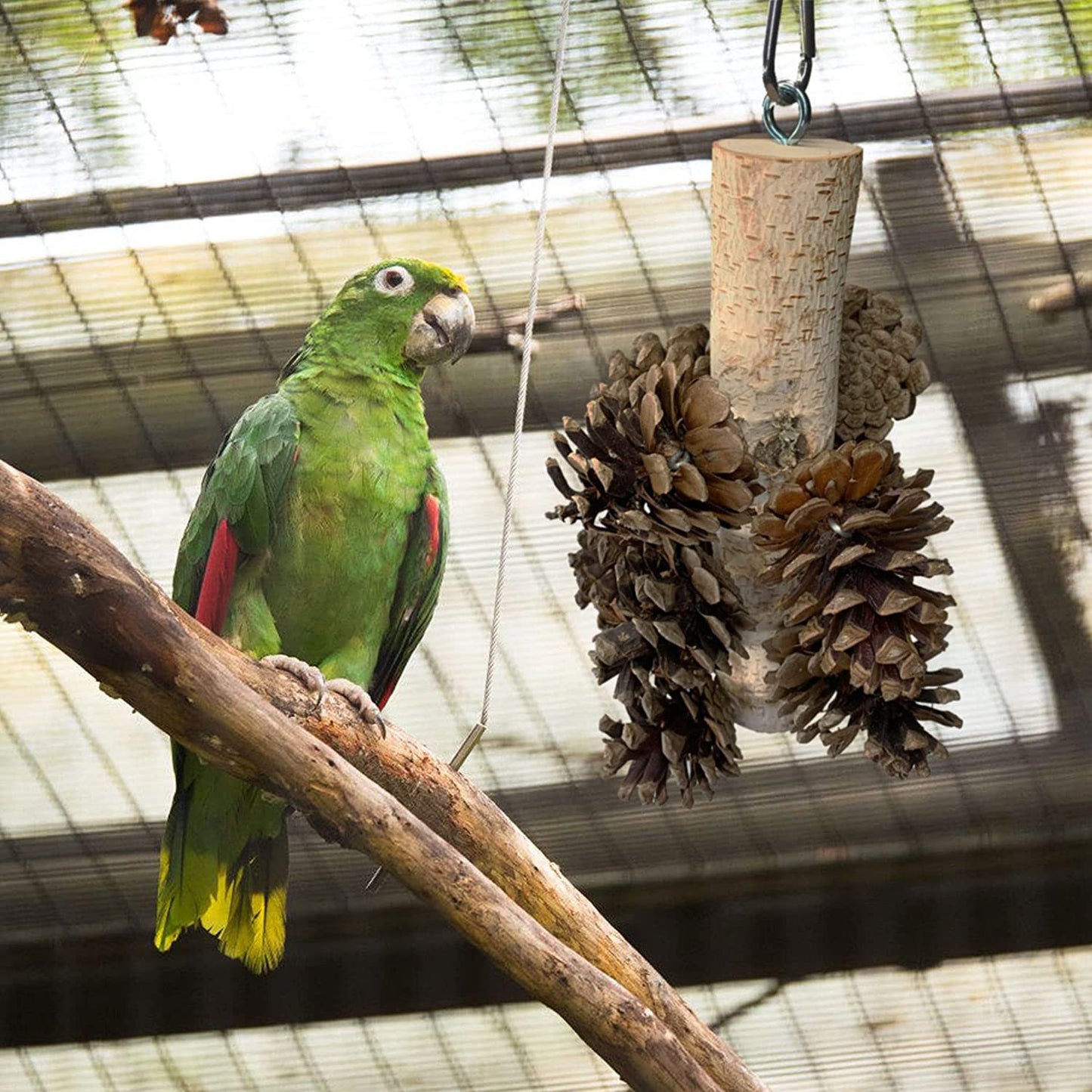 Pinecone Hanging Toy for Birds
