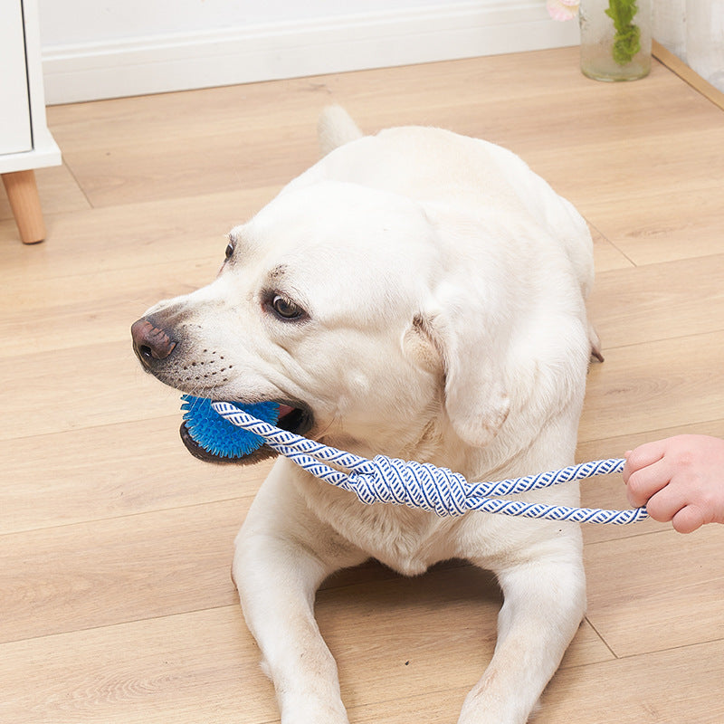 Set of 4 Tug-of-War Toys for Dogs