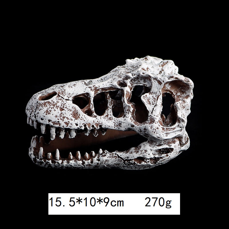 Resin Dinosaur Skull for Reptiles and Fish