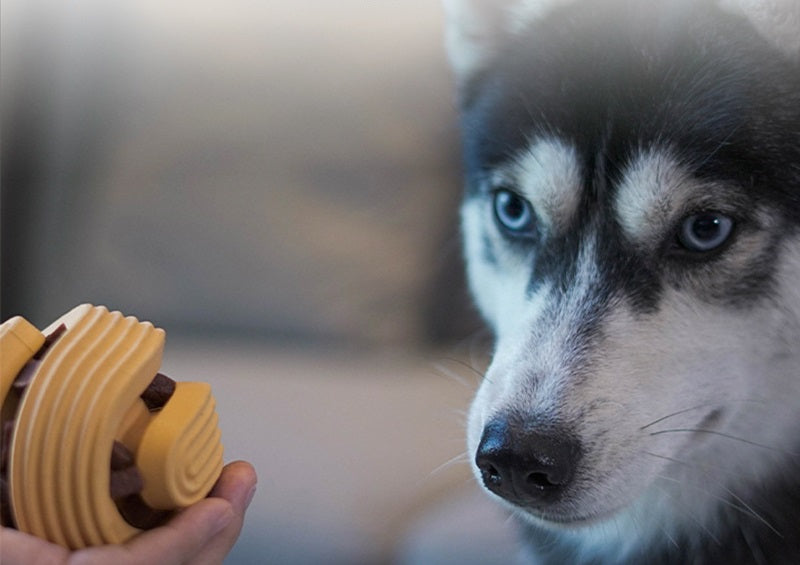 Rubber Food Dispensing Ball for Dogs