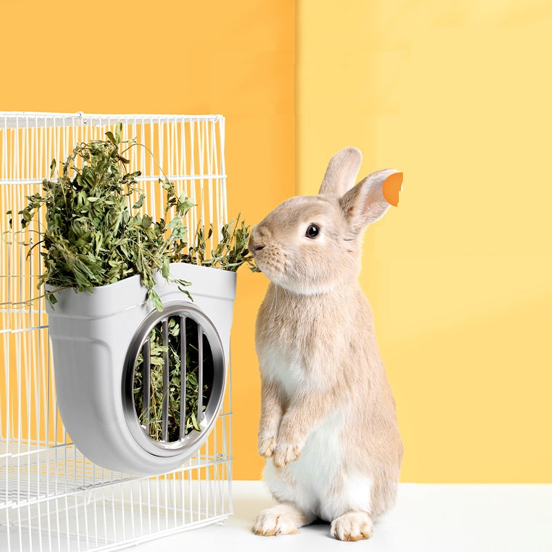 Gamelle en Acier Inoxydable pour Cochons d'Inde et Lapins