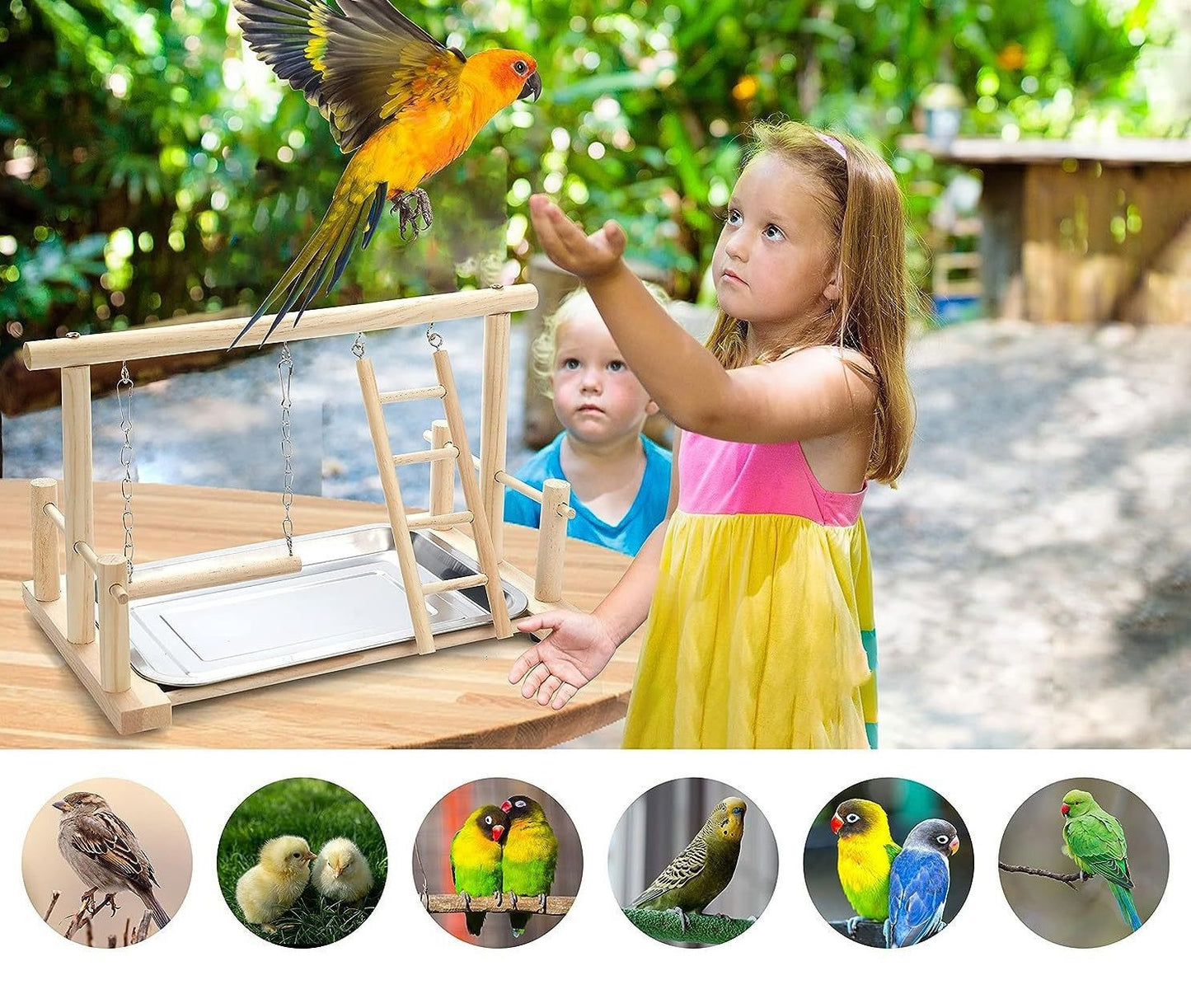 Wooden Stand with Swing and Ladder for Birds