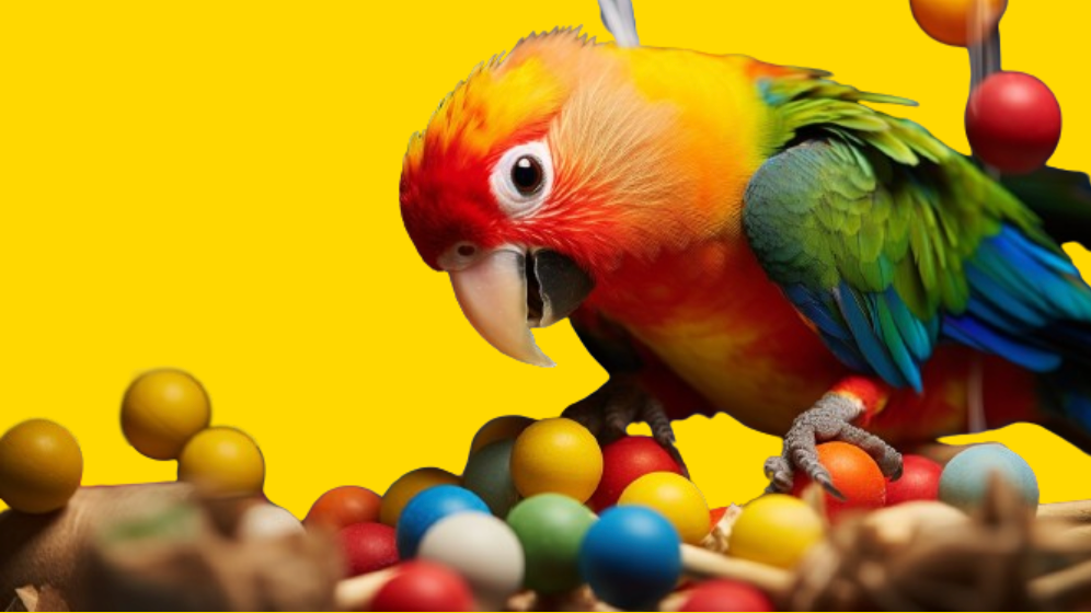 Pawzzles for Birds - Good for Foraging