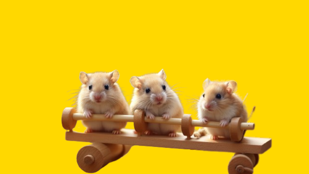 Pawzzles for Small Pets - Hard Difficulty