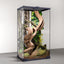 Vigne Grimpante en Bois pour Reptiles
