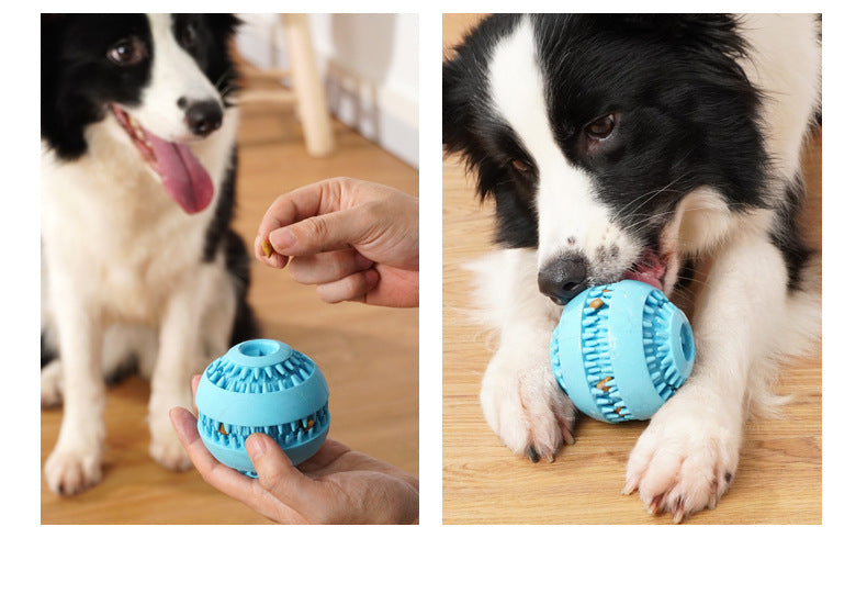 Balle Casse-Tête en Caoutchouc pour Chien