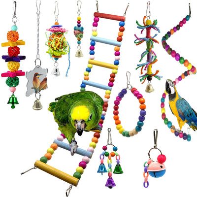 10-teiliges Set mit kleinen und mittelgroßen Papageienspielzeugen