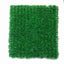 Simulation Seagrass Field for Fish Tank