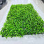 Simulation Seagrass Field for Fish Tank