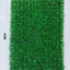 Simulation Seagrass Field for Fish Tank