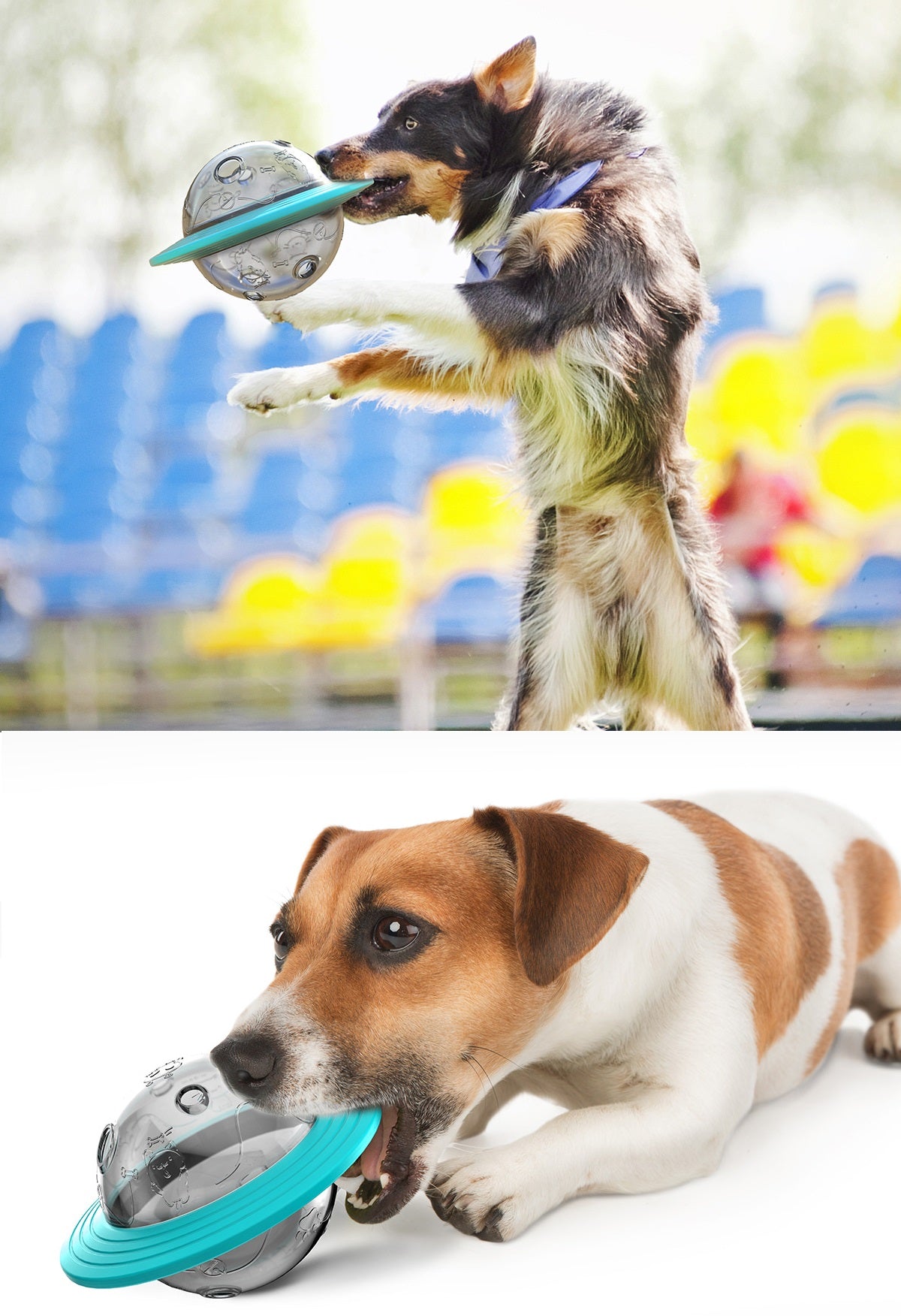 Frisbee in Planetenform und Futter-Kippspielzeug für Hunde