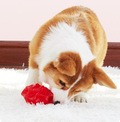 Gummi-Futterspielzeug mit geometrischem Design für Hunde