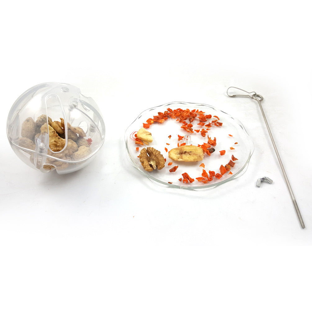Boule Recherche de Nourriture Transparente pour Oiseaux
