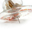 Boule Recherche de Nourriture Transparente pour Oiseaux