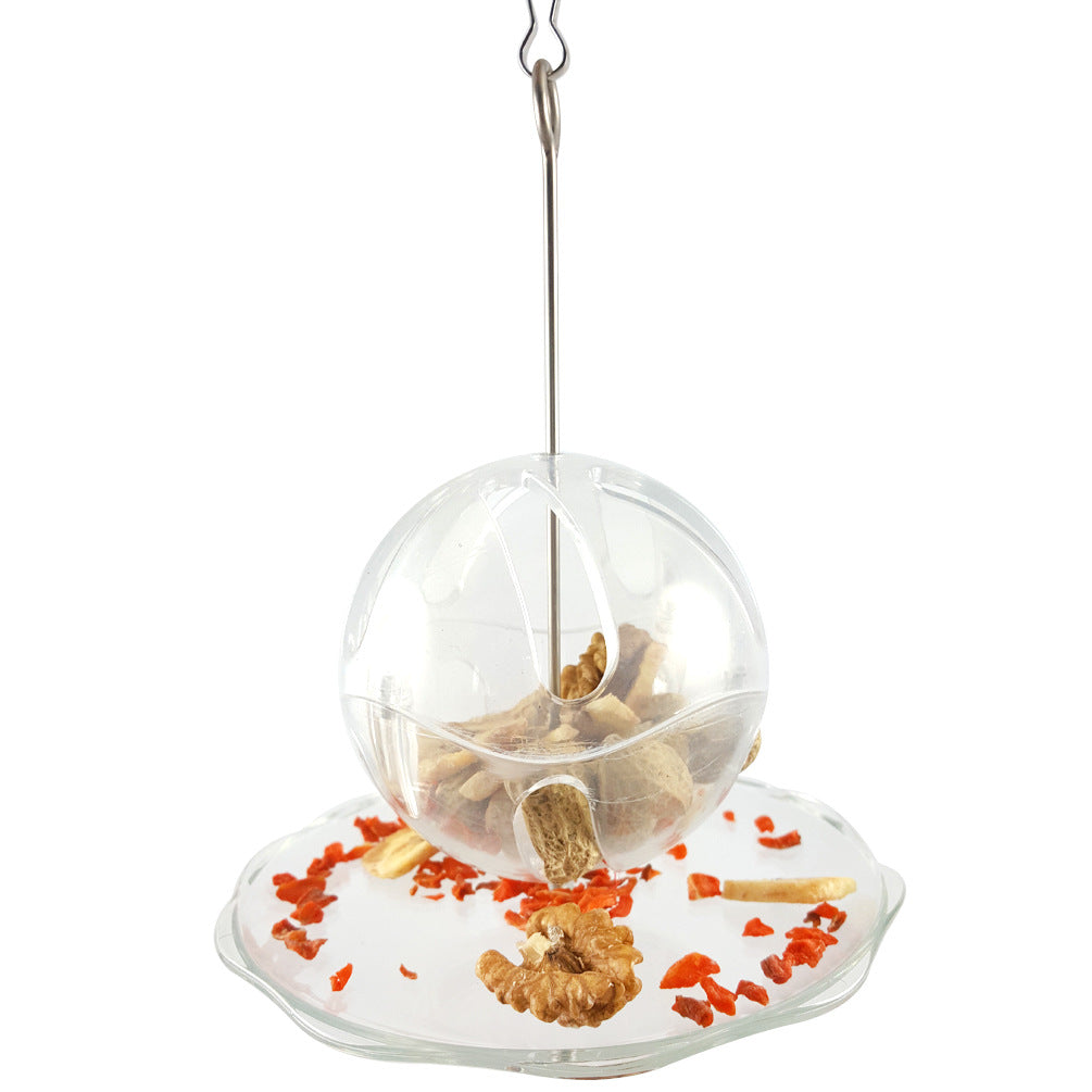 Boule Recherche de Nourriture Transparente pour Oiseaux
