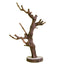 Grape Vine for Reptiles