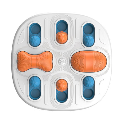 Sliding Slow Feeder Puzzle for Cats and Dogs