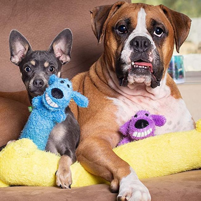Jouet Chien Souriant en Peluche pour Chien