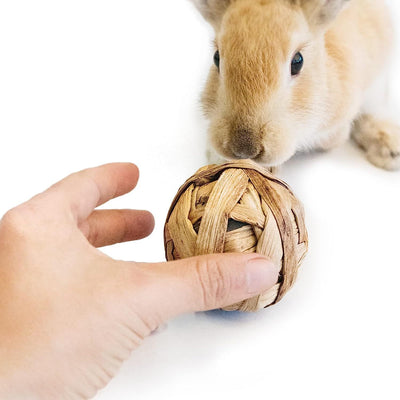 Natural Material Balls for Rabbits and Rodents