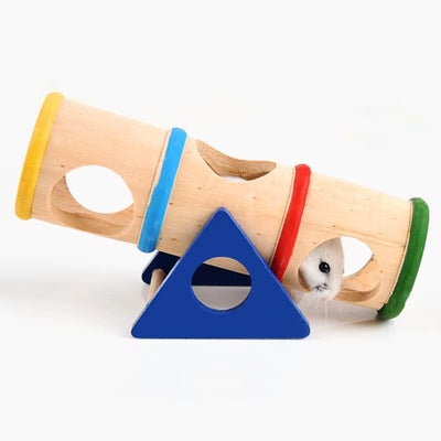 Cylindrical Seesaw for Hamsters and Guinea Pigs