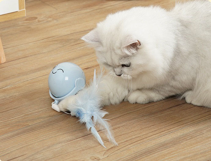 Balle Laser à Plumes pour Chat