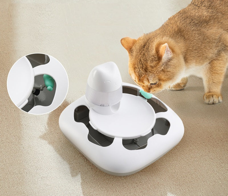 Distributeur de Nourriture Electronique pour Chat