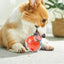 Plastic Slow Feeder Ball for Dogs