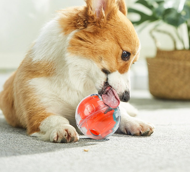 Plastic Slow Feeder Ball for Dogs