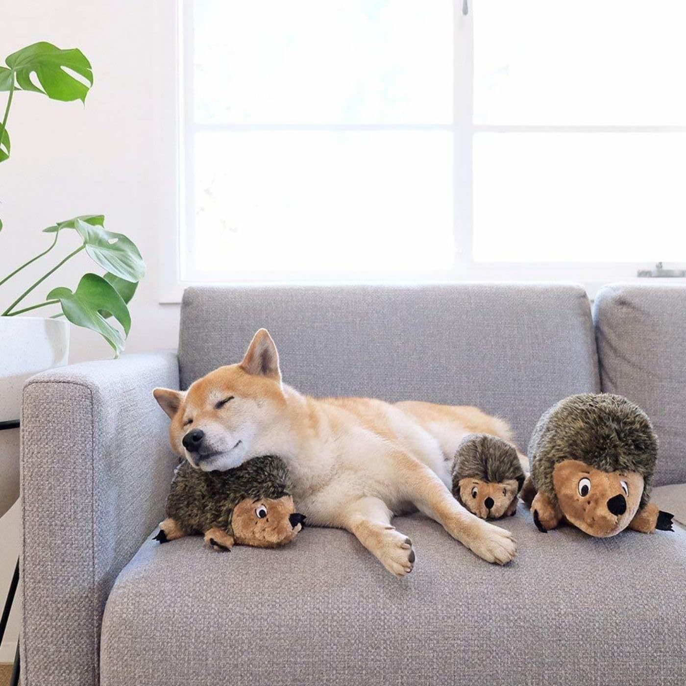 Plush Hedgehog Squeak Toy for Dogs