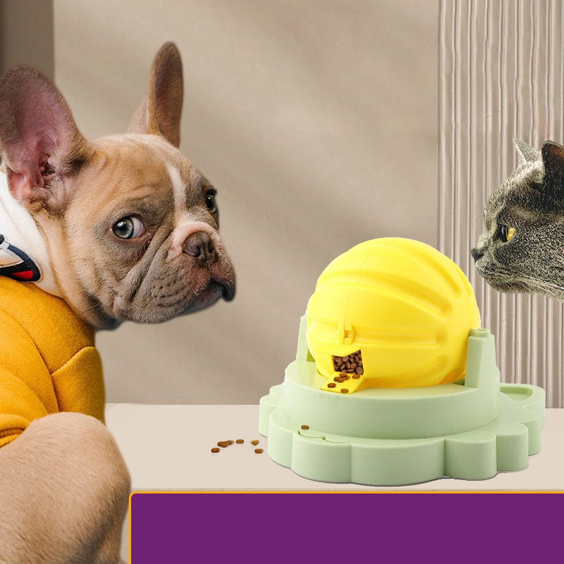 Spinning Food Puzzle for Dogs and Cats