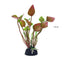 Herbe en Plastique pour Aquarium