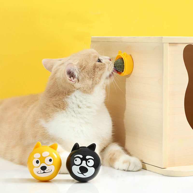 Balle Tête de Chien avec Cataire pour Chat