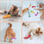 Plush Vegetable Catnip Toy