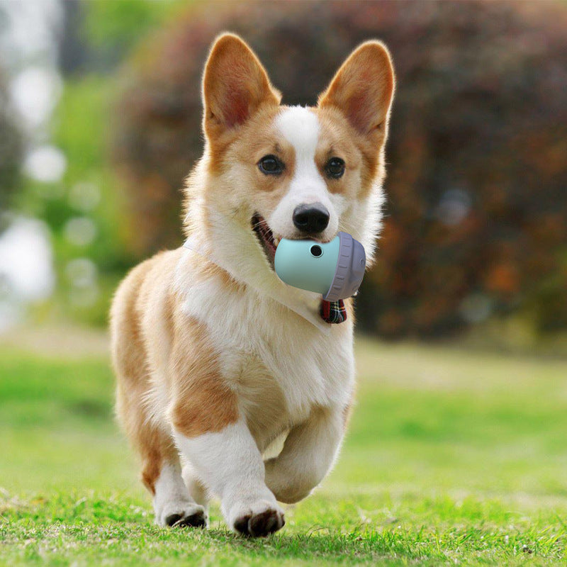 Food Dispensing Wobble Toy for Dogs