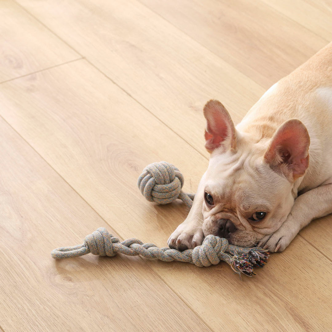 Jouet en Corde Tressée pour Chien