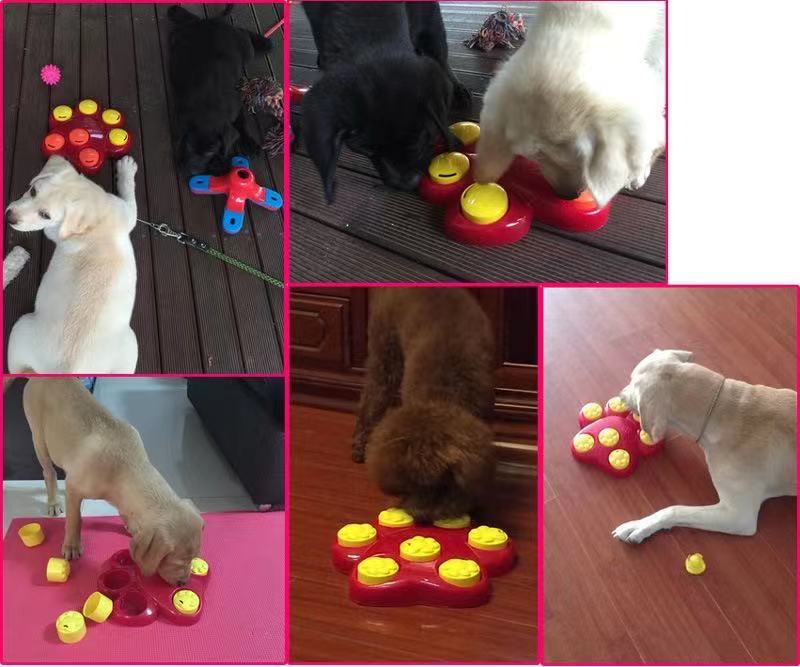 Casse-Tête Géant pour Chien