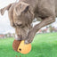 Rubber Acorn Food Puzzle Interactive Dog Toy