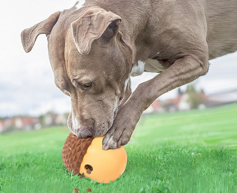 Rubber Acorn Food Puzzle Interactive Dog Toy
