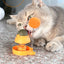 Spring Catnip Ball Toy for Cats