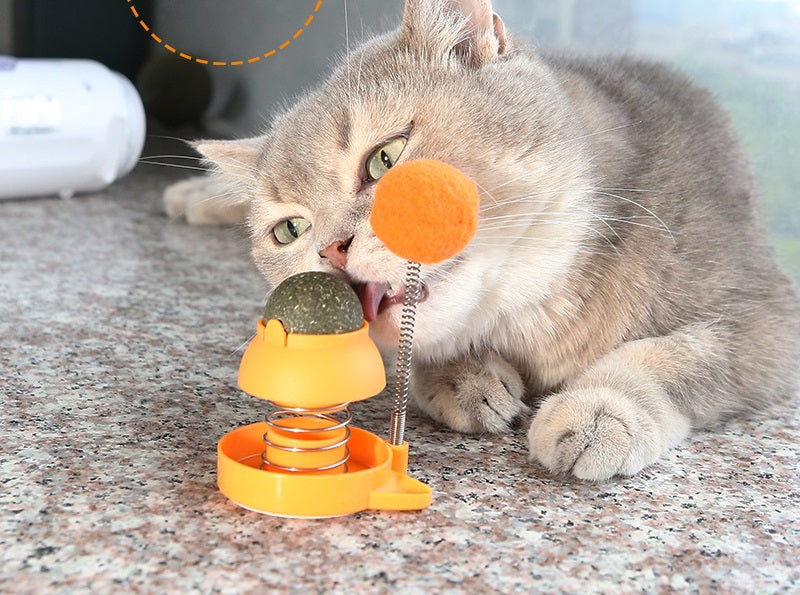 Spring Catnip Ball Toy for Cats