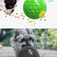 Quietschende Beißball-Futterpuzzle für Hunde