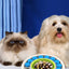 Sliding Food Puzzle Carousel for Dogs