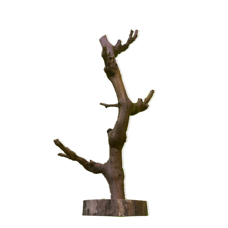 Grape Vine for Reptiles