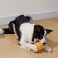 Jouet Interactif Pomme de Pin de  pour Chien