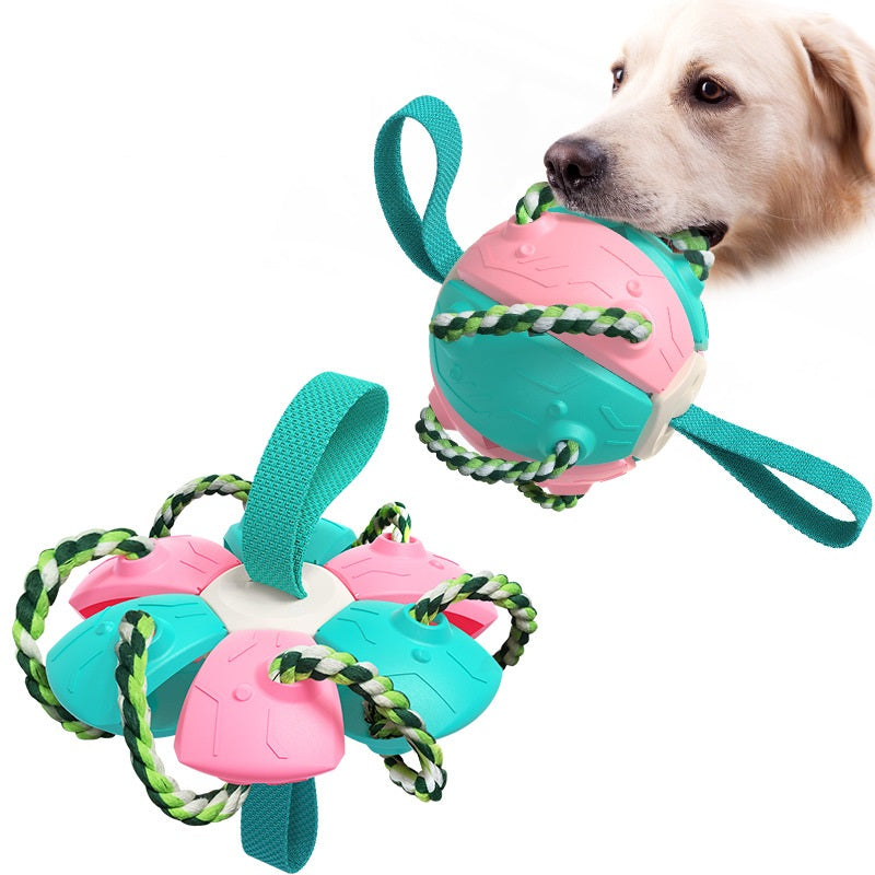 Jouet 3-en-1 Balle, Frisbee et Remorqueur pour Chien