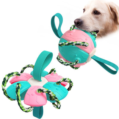Jouet 3-en-1 Balle, Frisbee et Remorqueur pour Chien