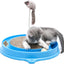 Scratchpad Carousel for Cats